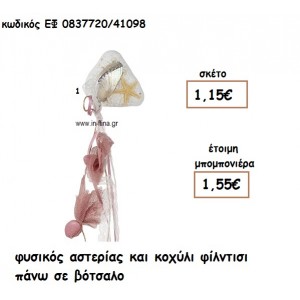ΦΥΣΙΚΟΣ ΑΣΤΕΡΙΑΣ ΚΑΙ ΚΟΧΥΛΙ ΦΙΛΝΤΙΣΙ ΣΕ ΒΟΤΣΑΛΟ για μπομπονιέρες γάμου - βάπτισης ΕΦ 0837720/41098