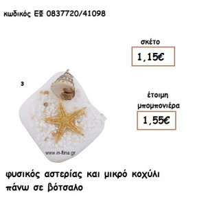 ΦΥΣΙΚΟΣ ΑΣΤΕΡΙΑΣ ΚΑΙ ΚΟΧΥΛΙ ΜΙΚΡΟ ΣΕ ΒΟΤΣΑΛΟ για μπομπονιέρες γάμου - βάπτισης ΕΦ 0837720/41098