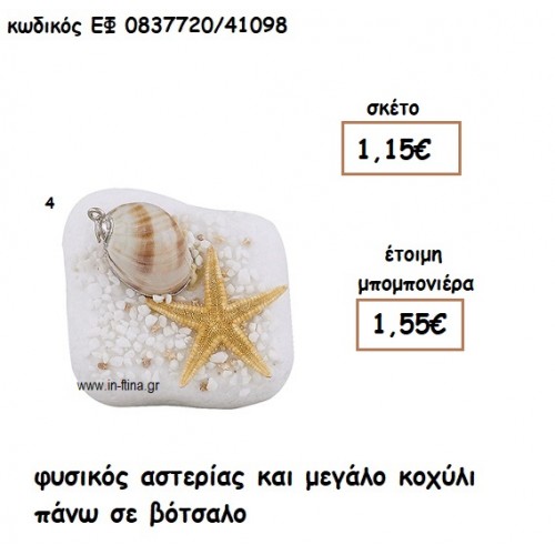 ΦΥΣΙΚΟΣ ΑΣΤΕΡΙΑΣ ΚΑΙ ΚΟΧΥΛΙ ΜΕΓΑΛΟ ΣΕ ΒΟΤΣΑΛΟ για μπομπονιέρες γάμου - βάπτισης  ΕΦ 0837720/41098
